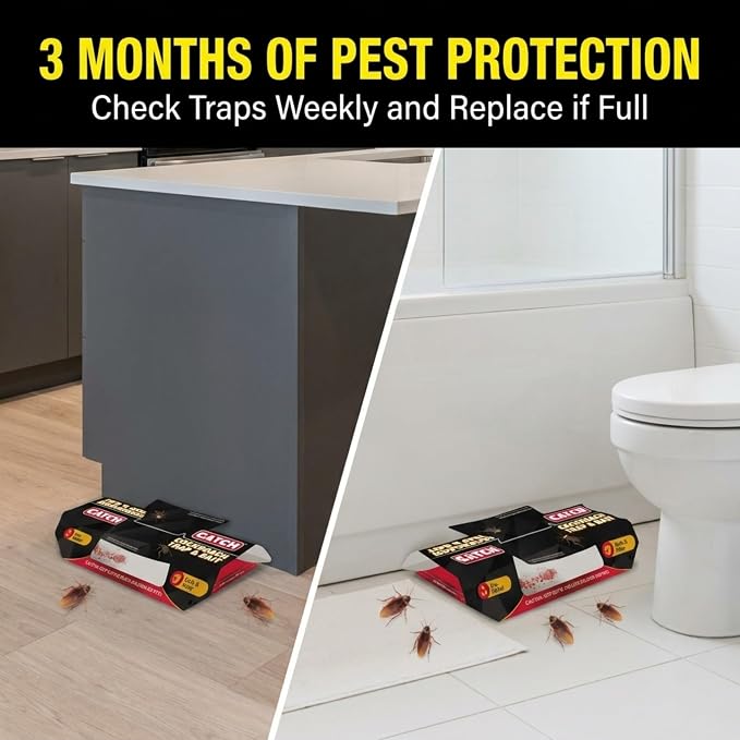 GATCH Roach Traps Indoor (60 Pack), Sticky Baited Cockroach Traps, Roach Killer Indoor Infestation, Adhesvie Glue Traps for Roaches, Insects, Home Bug Ant Spider Cricket, Child & Pet Friendly