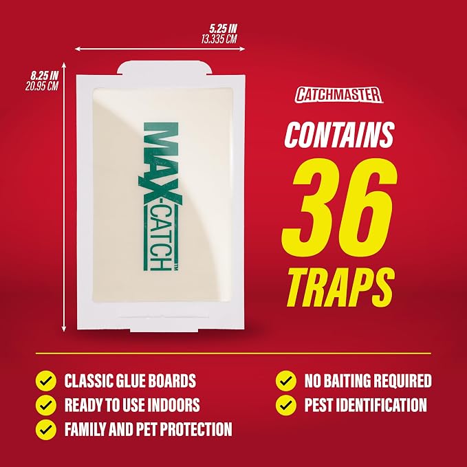 Catchmaster Max-Catch Glue Traps 36pk, Sticky Mouse Traps Indoor for Home | Bulk glue boards for mice & insects, pesticide-free sticky traps for spiders, crickets & roaches, home & garage pest control