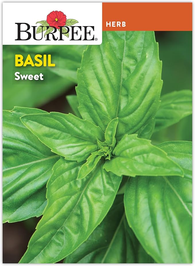 Burpee 'Sweet' Basil, 600mg Non-GMO Herb Seeds for Planting