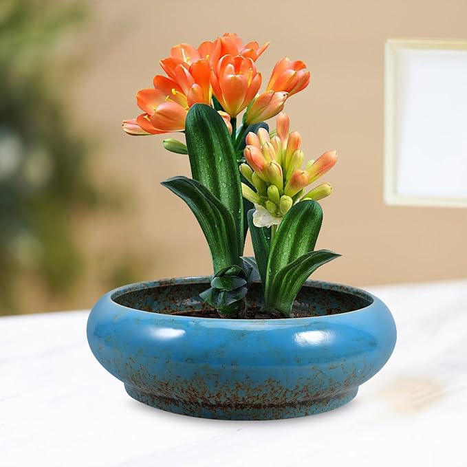 GANAZONO Large Garden Bowl Planter Water Plant Pot Water Lily Pots Hydroponic Planter Bonsai Pots Garden Decorative Cactus Stand Flower Container Daffodil Pot Bowl (Random Color)