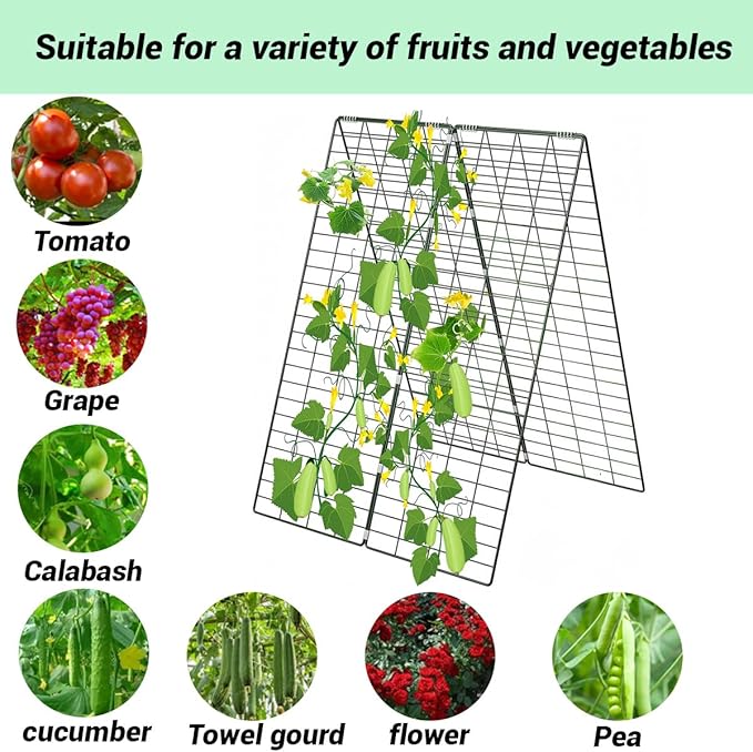 Metal Trellis for Climbing Plants Outdoor Garden Trellis,Cucumber Trellis,Tomato Plant Support/Squash/Zucchini/Sweet Peatrellis,Green Bean/Grape/Vine/Flower Plant Trellis (2 Pack)