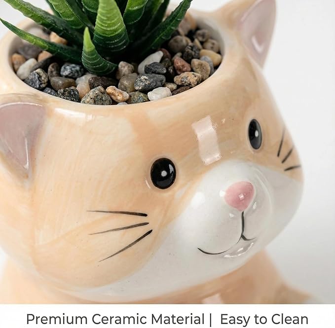 Cute Animal Ceramic Succulent Planters, Small Bonsai Planter, Aloe Cactus Succulent Plant Pots with Drainage Indoor Outdoor Use for Office Home Garden Decoration, Plants Not Included (Groundhog)