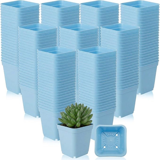 Yaomiao 200 Pack 3 Inch Blue Nursery Pot Square Flower Pots Plastic Plant Succulent Planter Seed Starting Pots with Drainage Holes for Garden Office Balcony Decor Indoor Outdoor Plant Seedling