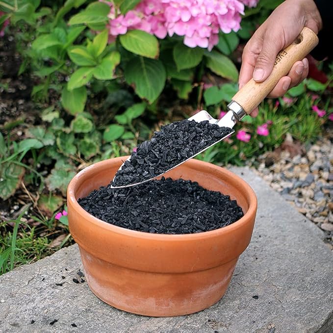 Doter Horticultural Charcoal for Plants 4 qt, All Natural Hardwood Charcoal, Activated Charcoal for Soil Amendment, Orchids, Terrariums, and Gardening