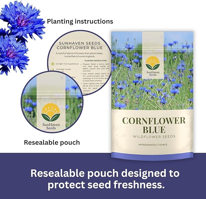 Bachelor Button Seeds – Blue Cornflower – 5,500+ Seeds – 1 oz Bulk Extra Large Resealable Packet – Open-Pollinated Centaurea cyanus Wildflower Seeds
