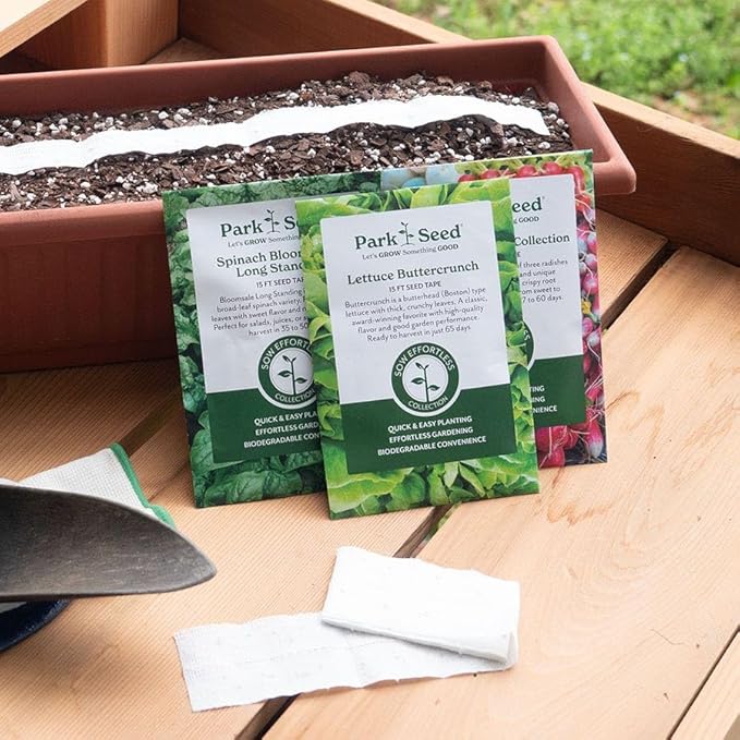 Park Seed Easy DIY Planting Sow Effortless Collection Seed Tape, Rainbow Blend Carrot, 15 Feet