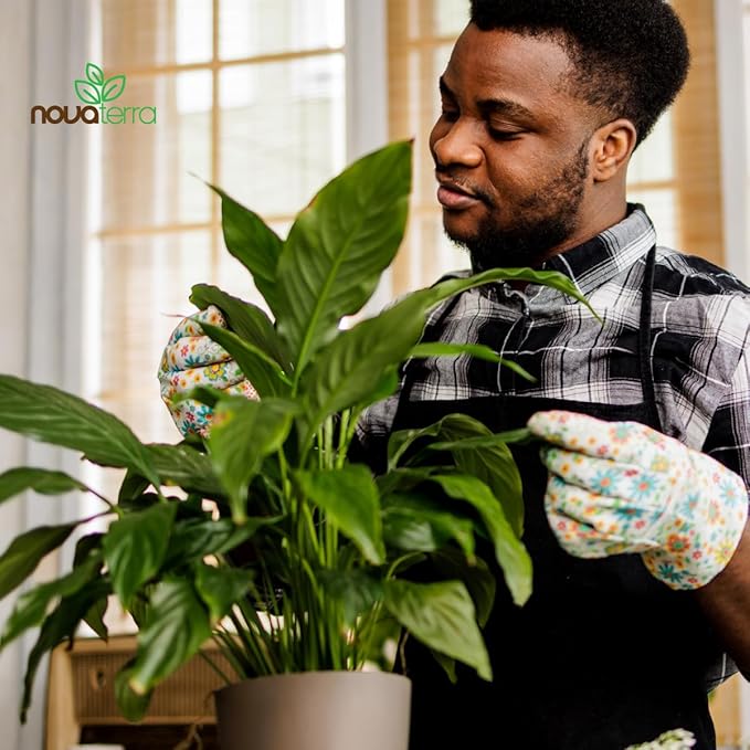 Potting Soil Indoor Plants Soil for Indoor Plants Potting Mix planters Food Plant Food for houseplants Fertilizer