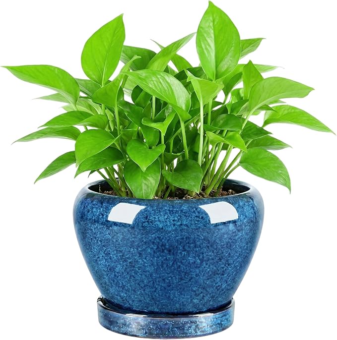 8.3 Inch Ceramic Planter with Saucer Leak-Proof Mesh &Drainage, Round Plant Pot with Gardening Gloves for Indoor Outdoor Plants (Sapphire Blue Glaze)