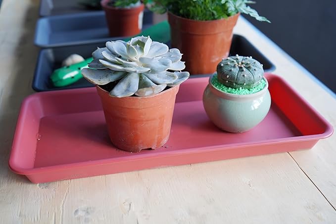 VUWEZ 2 Pack of Plastic Plant Tray Saucer Rectangular, Plant Trays Saucers for Indoors Outdoor, Plant Drip Tray for Flower Pot Planter, Windowsill Plant Tray (6 X 11 Inch, Terracotta)