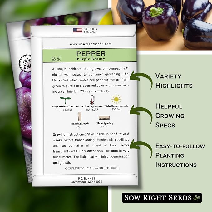Sow Right Seeds - Purple Beauty Pepper Seeds for Planting - Non-GMO Heirloom Packet with Instructions to Plant and Grow an Outdoor Home Vegetable Garden - Sweet Bell Variety, Violet Purple (1)