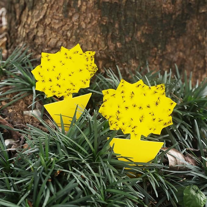 Garsum Fruit Fly Trap Yellow Sticky 18 pcs Fungus Gnat Killer for Indoor and Outdoor Plant Insect Catcher for White Flies,Mosquitos,Fungus Gnats,Flying Insects