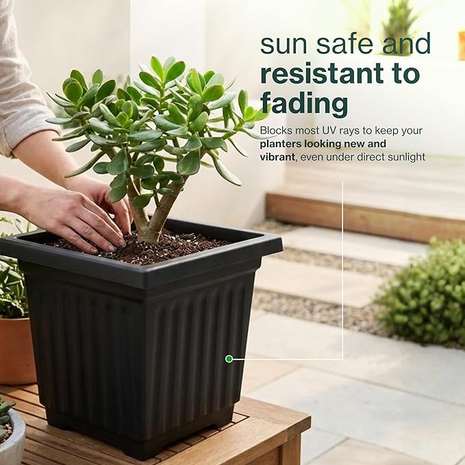 12 Inch Venetian Square Plant Pots with Drainage Holes, Lightweight UV-Resistant Plastic Outdoor Planters, 2-Pack Flower Pots for Patio & Garden Decor, Black