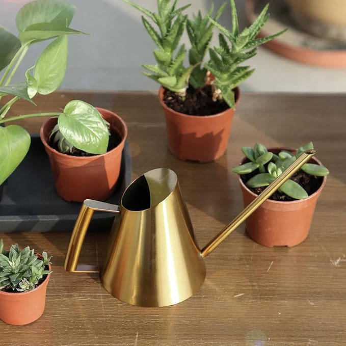 13.6 oz Watering Can Indoor Plants Stainless Steel Plant Waterer Watering Pot Sprinkle Pot Garden Flowers Plants Flower Tool Gold Watering Can with Long Spout (400ml)