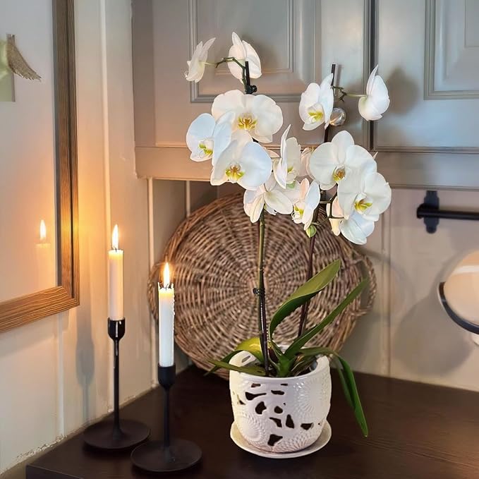 HERDUK Ceramic Orchid Pot, Orchid Pots with Drainage Holes & Saucer 6.5 Inch,Orchid Pot for Repotting Indoor, Orchid Containers with Precise Aeration & Drainage