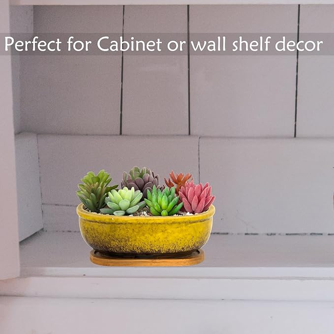 ARTKETTY Succulent Pots, 7.9 Inch Large Succulent Planters with Drainage Tray, Shallow Planters for Indoor Plants Ceramic Cactus Pots Glazed Bonsai Flower Plant Container for Home Windowsill Decor