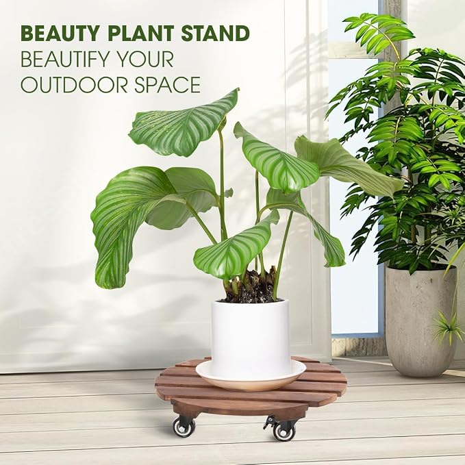 2-Pack 14 Inch Acacia Wood Plant Caddy with Wheels – Heavy-Duty Plant Dolly with 264 Lbs Capacity, 360° Lockable Wheels for Large Plant Pots, Heavy Objects, Ideal for Indoor and Outdoor Use