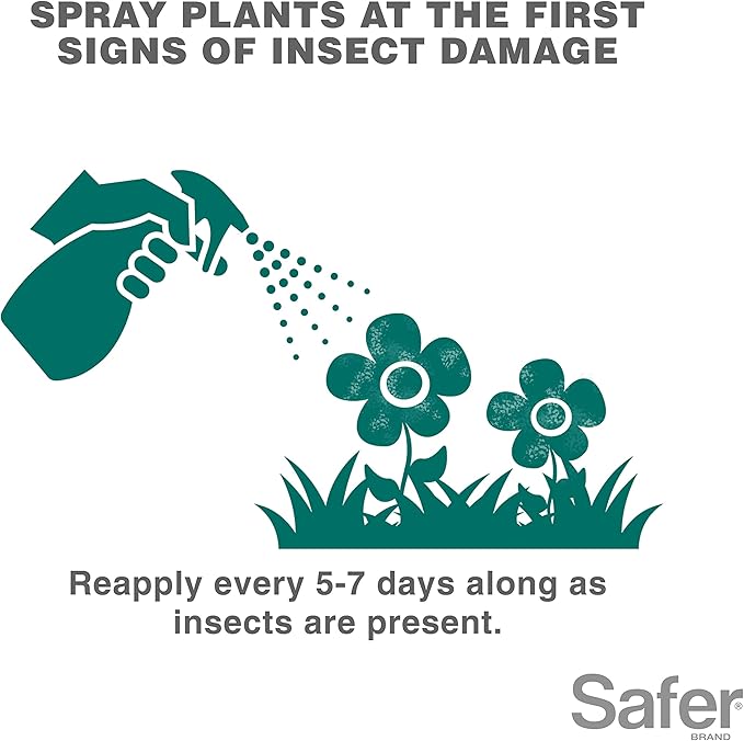 Safer 5118-6 Insect Killing Soap Concentrate - Insecticidal Soap for Plants - Kills Aphids, Whiteflies, Thrips, Spider Mites, and More - OMRI Listed for Organic Use - 6 Pack