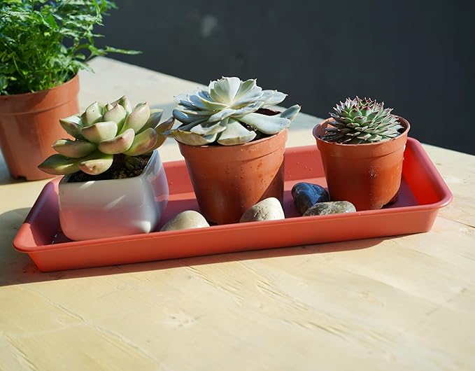 VUWEZ 2 Pack of Plastic Plant Tray Saucer Rectangular, Plant Trays Saucers for Indoors Outdoor, Plant Drip Tray for Flower Pot Planter, Windowsill Plant Tray (6 X 11 Inch, Terracotta)