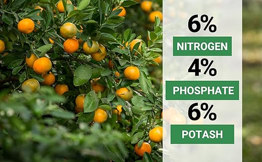 Gardenwise 6-4-6 Avocado and Citrus Tree Professional Fertilizer Plant Food for Outdoor/Indoor Gardening; Quick-Release Nitrogen Fertilizer; Orange, Lime, Avocado and Lemon Tree Fertilizer (5 QUARTS)