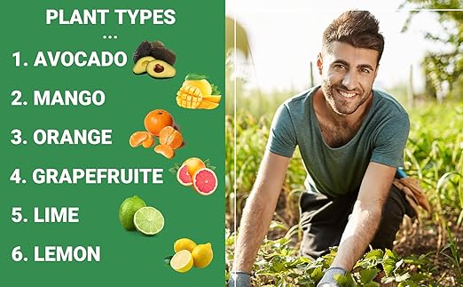 Gardenwise 6-4-6 Avocado and Citrus Tree Professional Fertilizer Plant Food for Outdoor/Indoor Gardening; Quick-Release Nitrogen Fertilizer; Orange, Lime, Avocado and Lemon Tree Fertilizer (4 QUARTS)