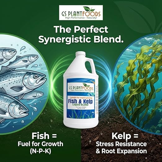 GS Plant Foods Liquid Fish & Kelp Fertilizer – (1 Gallon) Organic Material Review Institute Listed Natural Plant Food for Home Gardens, Lawns, and Vegetables