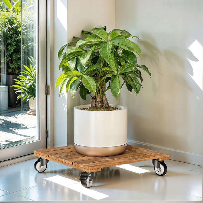 2-Pack 12 Inch Acacia Wood Rolling Square Plant Caddy for Plant Pots, Heavy Duty Plant Stand with 360° Lockable Wheels, 264 lbs Capacity Caddy for Indoor and Outdoor Use, Natural Wood