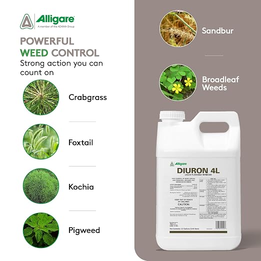 Alligare Diuron 4L Herbicide - Pre- and Post-Emergent Weed Killer for Annual & Perennial Grasses - Effective Herbicide Weed Killer on Crabgrass, Foxtail, Ryegrass - Easy Application - 2.5 Gallons