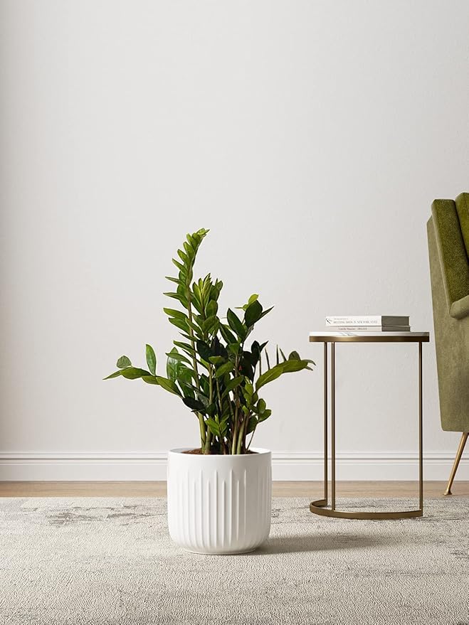 LE TAUCI Fluted Ceramic Planters, 8.3/7/6 Inch Indoor Pots for Plants with Drainage Holes & Mesh, Modern Matte Glaze Cylinder Plant Pot for Snake Plant, Set of 3, White
