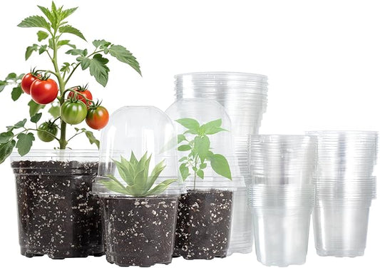 Bluepro 36 Packs 5/4/3.5 Inch Clear Nursery Pots with Humidity Domes, Transparent Plant Pots with Drainage Holes, Variety Pack Seedling Pots for Vegetable Propagation, Root Cutting, Seed Starting