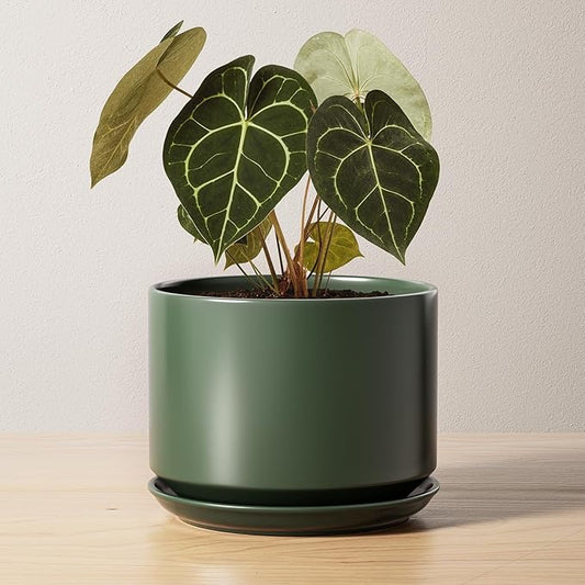 LE TAUCI Ceramic Pots for Plants, 6.8 Inch Plant Pots with Drainage Hole & Saucer, Modern Planter for Indoor Plants, Stable & Durable, Perfect for Living Room or Office Decor, Forest Green