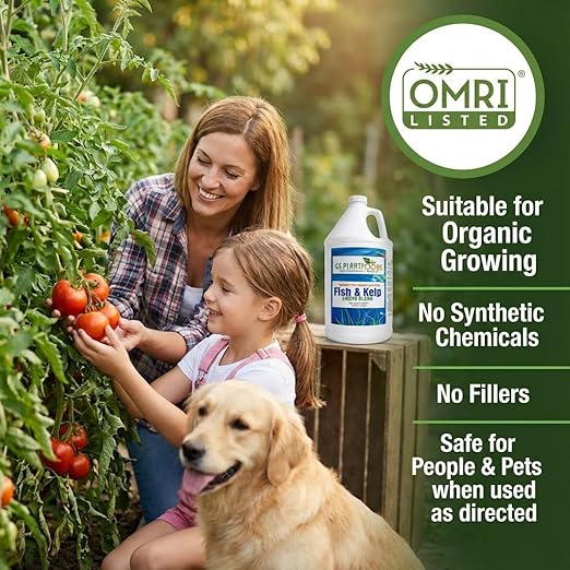 GS Plant Foods Liquid Fish & Kelp Fertilizer (55 Gallons) – Organic Material Review Institute Listed Natural Plant Food for Home Gardens, and Vegetables