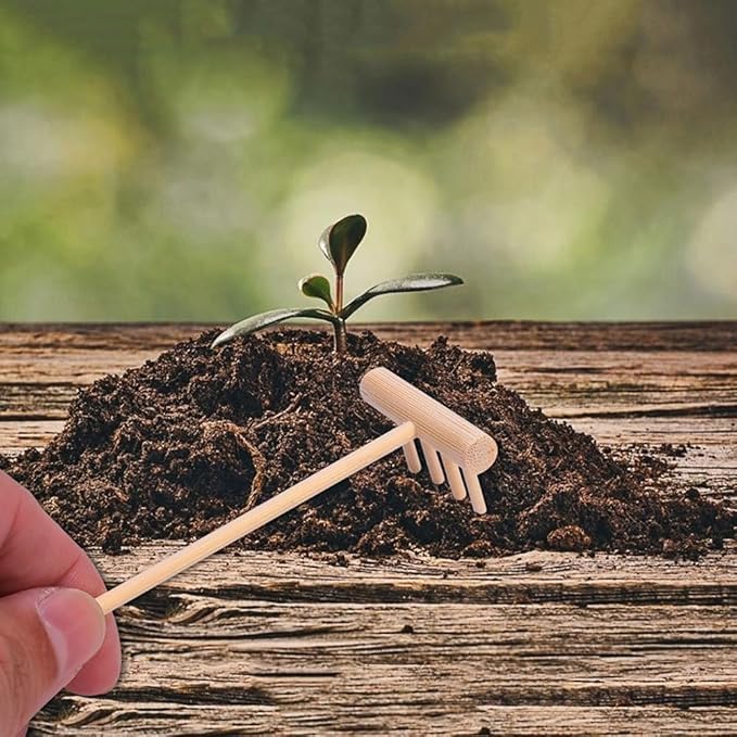 YARNOW 60 Pcs Mini Zen Garden Rakes Bulk, Miniature Sand Rake for Tabletop Meditation and Decorative Sandbox Accessories