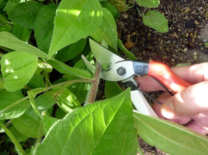 Okatsune 103 Bypass Pruners General Purpose Medium (One Pack)