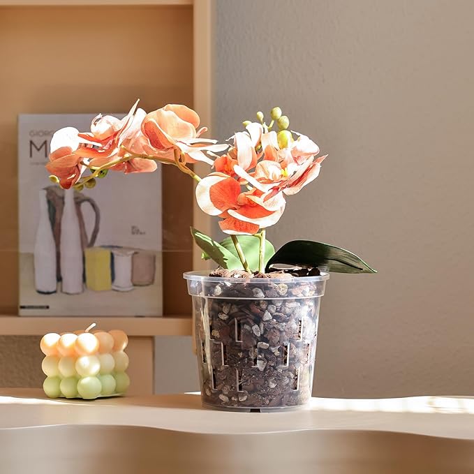 TRUEDAYS Orchid Pot – 6 Pack 5 Inch Clear Orchid Pots with Drainage Holes for Repotting – Ideal for Healthy Root Growth – Sturdy Plastic Plant Pot for Indoor & Outdoor Plants