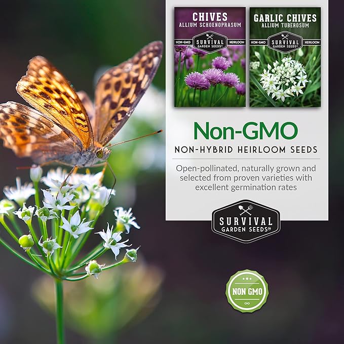 Chive Seed Collection - Common & Garlic Chives – 2 Packets of Non-GMO Heirloom Open-Pollinated Herb Seed Varieties to Plant in Your Vegetable Garden – Seed Saver Instructions - Survival Garden Seeds