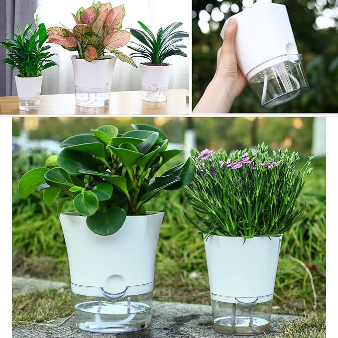 10-Pack 6" Clear Self Watering Pots for Indoor Plants Large Hexagon Self-Watering Planters Orchid Pots Plastic Wick Flower Plant Pots for African Violet, Spider, Herbs, Home Decor, White and Clear