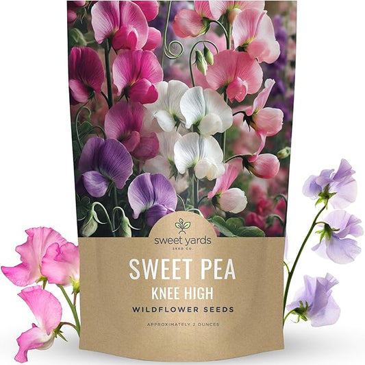 Sweet Pea Knee High - Bulk 2 Ounce Pouch - 600 Flower Seeds for Planting - Lathyrus odoratus