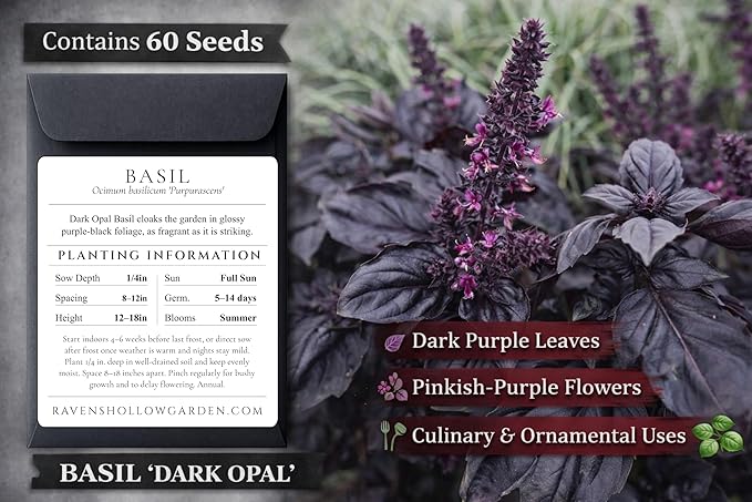 Gothic Garden Seed Collection, 6 Open-Pollinated Flower & Foliage Varieties
