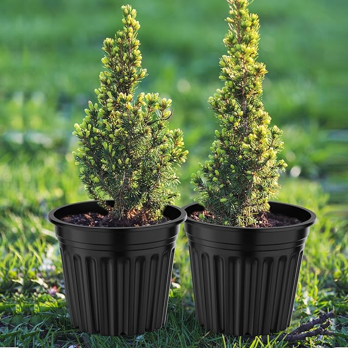 50 Pcs 3 Gallon Planter Nursery Pots, Seed Starting Pot Plastic Flower Seedling Pots with Drainage Holes Flexible Plant Container for Garden Lawn Yard Plants Seedlings (50, 3 Gallon)