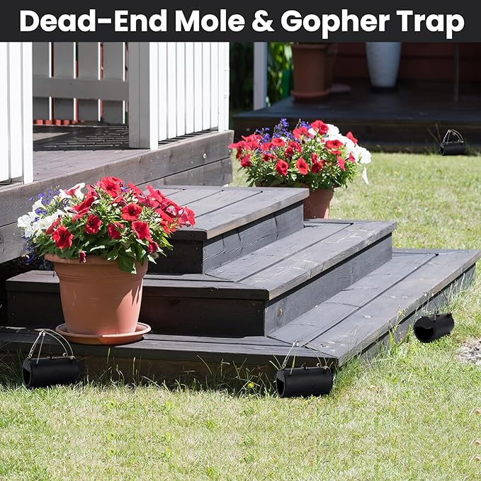 Qualirey 4 Pack Black Hole Gopher Trap 6.7 Inch Tunnel Mole Traps Gopher Killer Outdoor Vole Traps Rodent Rat Stations Reusable for Lawn Yard Garden