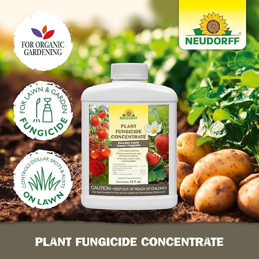 Neudorff Plant Fungicide Concentrate for Roses, Fruits & Vegetable 16 OZ | Ready-to-Use Copper Soap Fungicide Control Powdery Mildew and Other Diseases and Fungus for Organic Gardening,