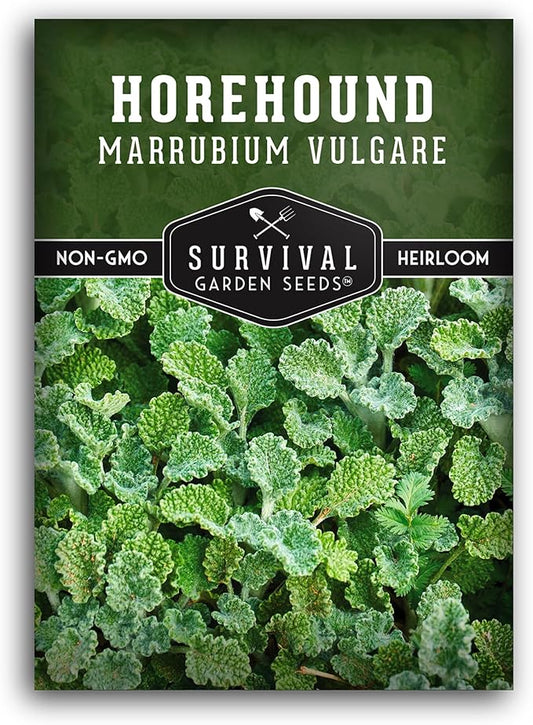 Survival Garden Seeds - Horehound Seeds for Planting - 1 Packet with Instructions to Plant and Grow Beneficial Marrubium Medicinal Herbs in Your Home Vegetable Garden - Non-GMO Heirloom Variety