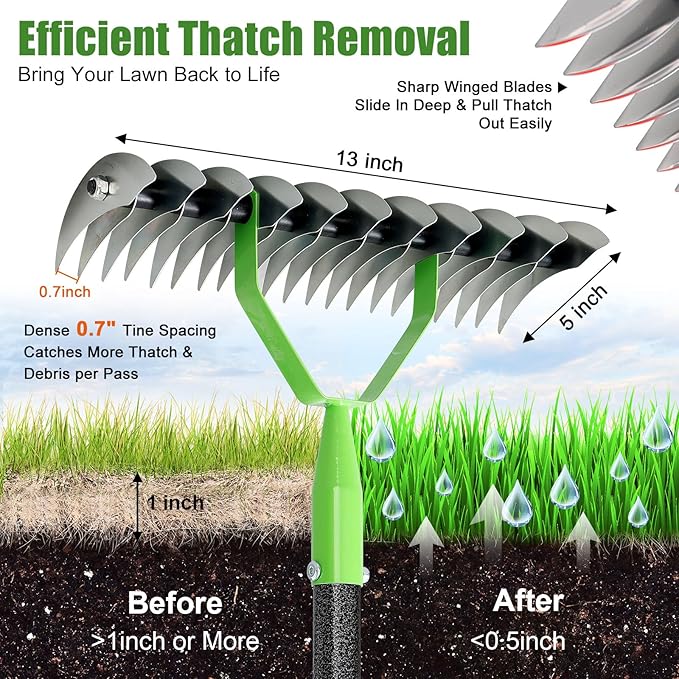 Thatch Rake for Lawn with 70" Long Handle,13" Wide Dethatcher Rake for Grass,Manual Lawn Scarifier for Cleaning Dead Grass,Heavy Duty Steel Thatching Rake for Yard,Garden,Soil Loosening and Lawn Care