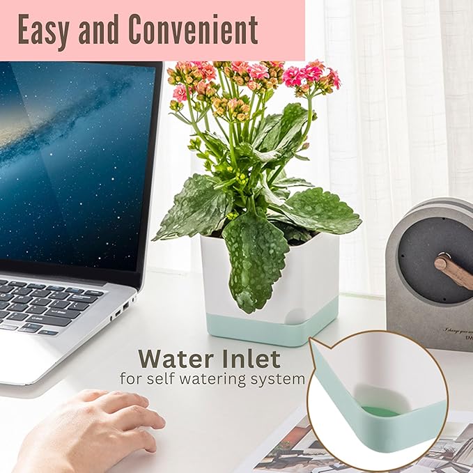 LaLaGreen Planters for Indoor Plants (7 Pack) Assorted Color Window Boxes, Rectangular Self-Watering System Long Windowsill Plant Pots with Drainage Herb Garden Flower Box Modern Stylish Outdoor