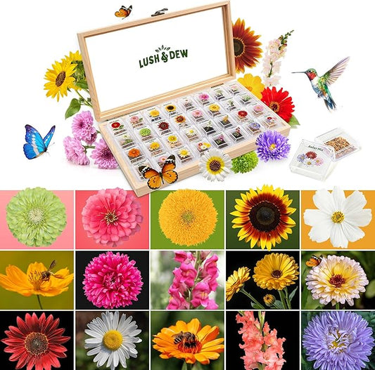 Lush&Dew Cut Flower Seed Bank, Gardening Gifts for Mom Women, 32 Varieties Non-GMO Annual & Perennial Wildflower Seeds for Planting in Raised Garden Bed, Home Garden, Zinnia Sunflower Zone 3-10