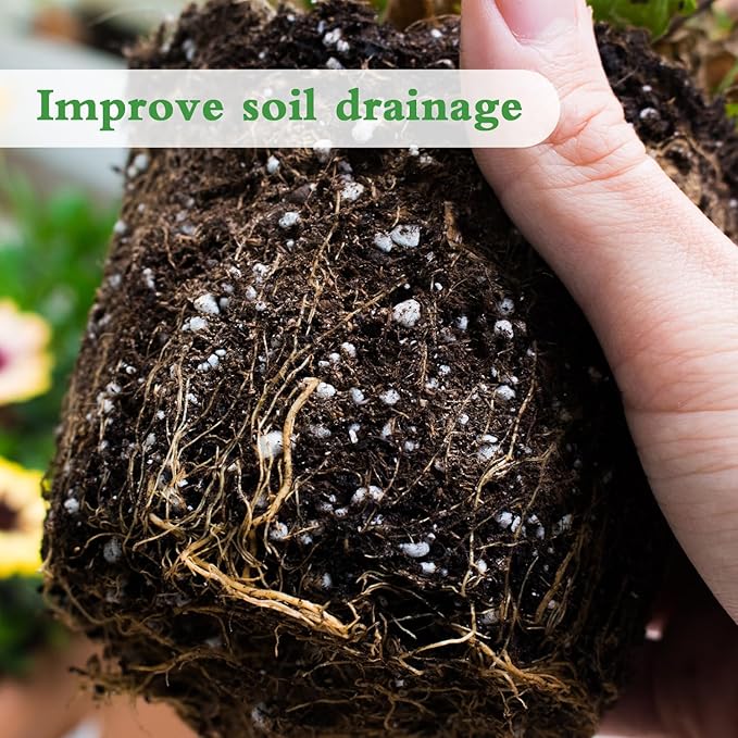 Organic Perlite for Plants, Enhances Soil Drainage and Aeration, Perfect Perlite for Plants Indoor & Outdoor, Horticultural Perlite for Gardening, Perfect for Potting Mixes, 1QT