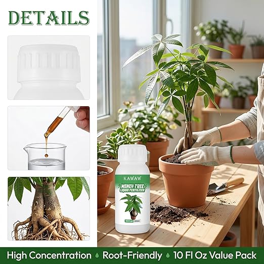 10 oz Organic Money Tree Fertilizer Liquid - Microbial Probiotic Plant Food for Pachira Aquatica & Houseplants - Promotes Root Growth & Green Leaves