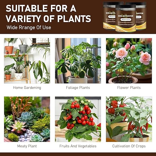 Organic Soil Activators and Plant Fertilizers, Garden Beds for Cultivation, Potting Mix and Seedling Compost, Promoting Plant Rooting (1PCS)