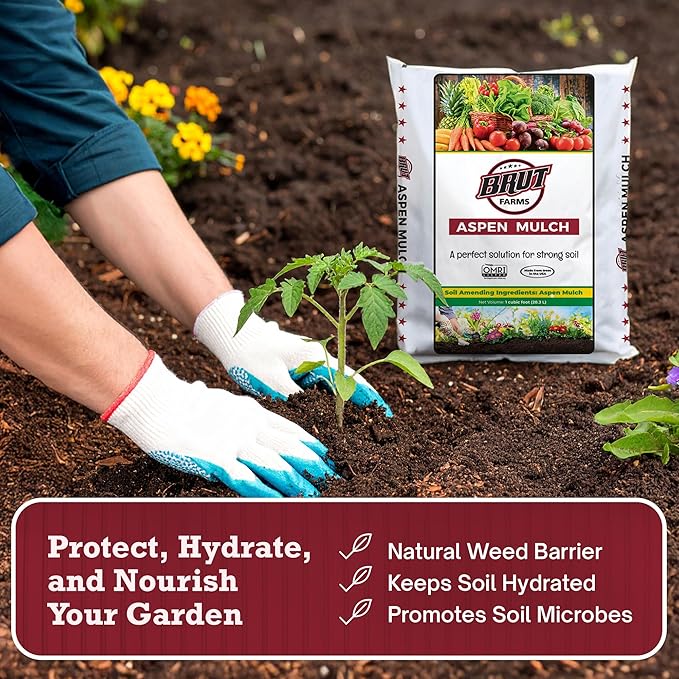 Brut Organic Aspen Mulch 1 CU FT – Natural Moisture Retainer & Root Protector – Odor-Free, Nutrient-Rich Bark Mulch for Landscaping, Garden Beds & Potted Plants