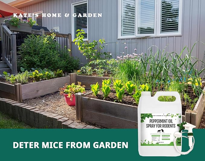 Kate's Home & Garden Peppermint Oil Spray for Rodents, Mice, Squirrels. Rodent Repellent Indoor for Car Engines & Outdoor (1 Gallon, Non Toxic)